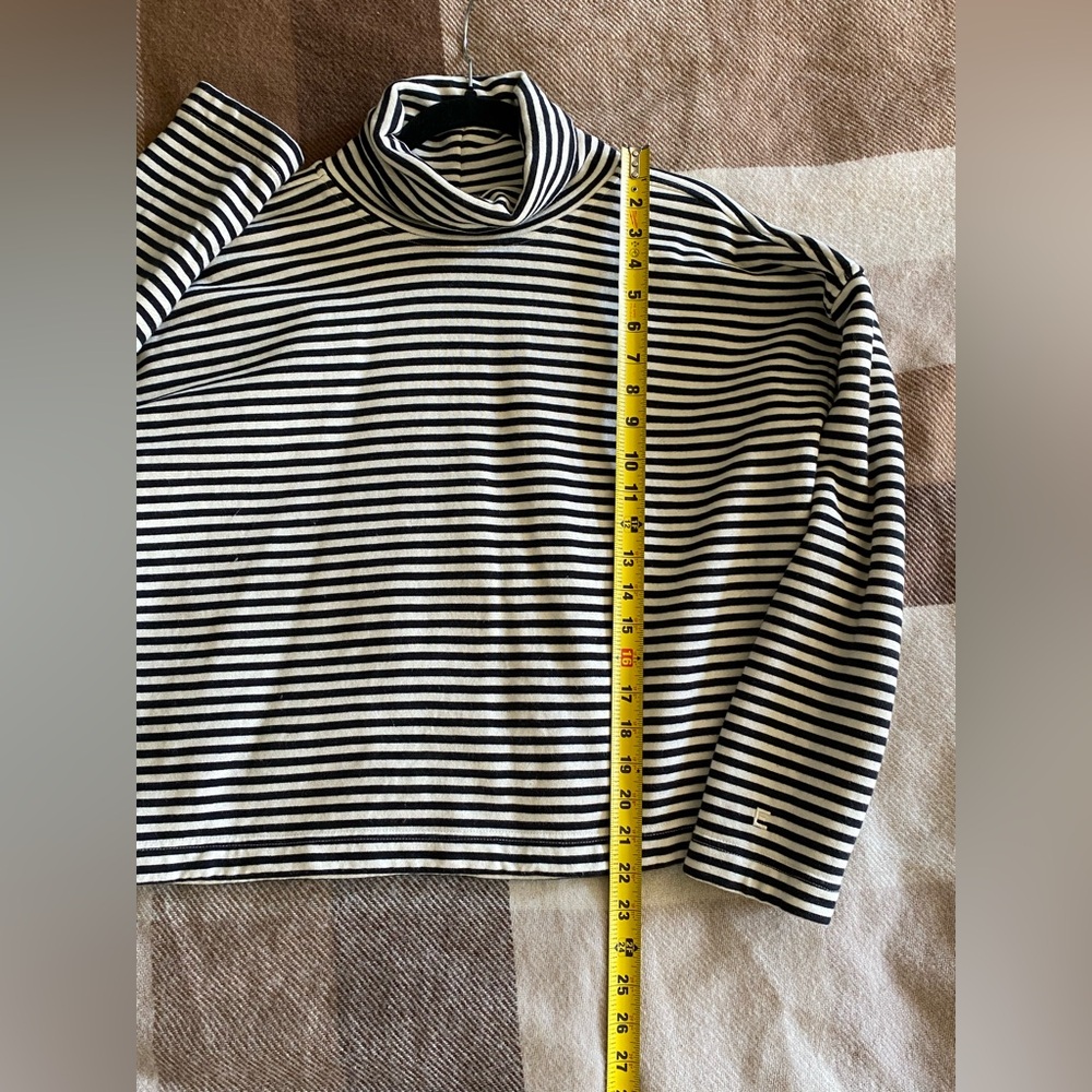 Everlane The Turtleneck Sweatshirt Black White, Stripe Organic Cotton, Sz XXS - Picture 6 of 11